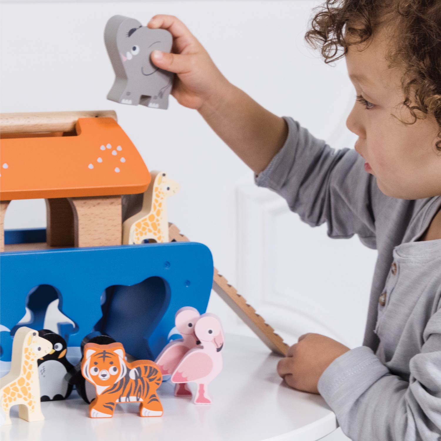 Ark & Animals Shape Sorter